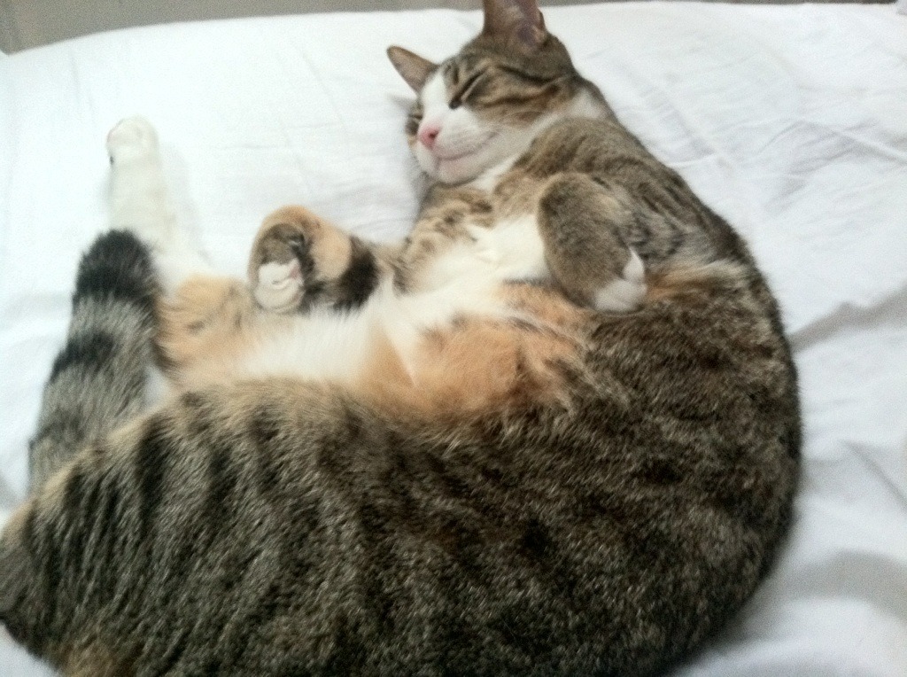 创新比赛模式,“快闪篮球赛”成为城市体育新热点,篮球电竞快闪联赛 - 4x5分钟