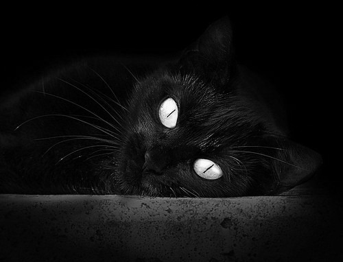 创新比赛模式,“快闪篮球赛”成为城市体育新热点,篮球电竞快闪联赛 - 4x5分钟