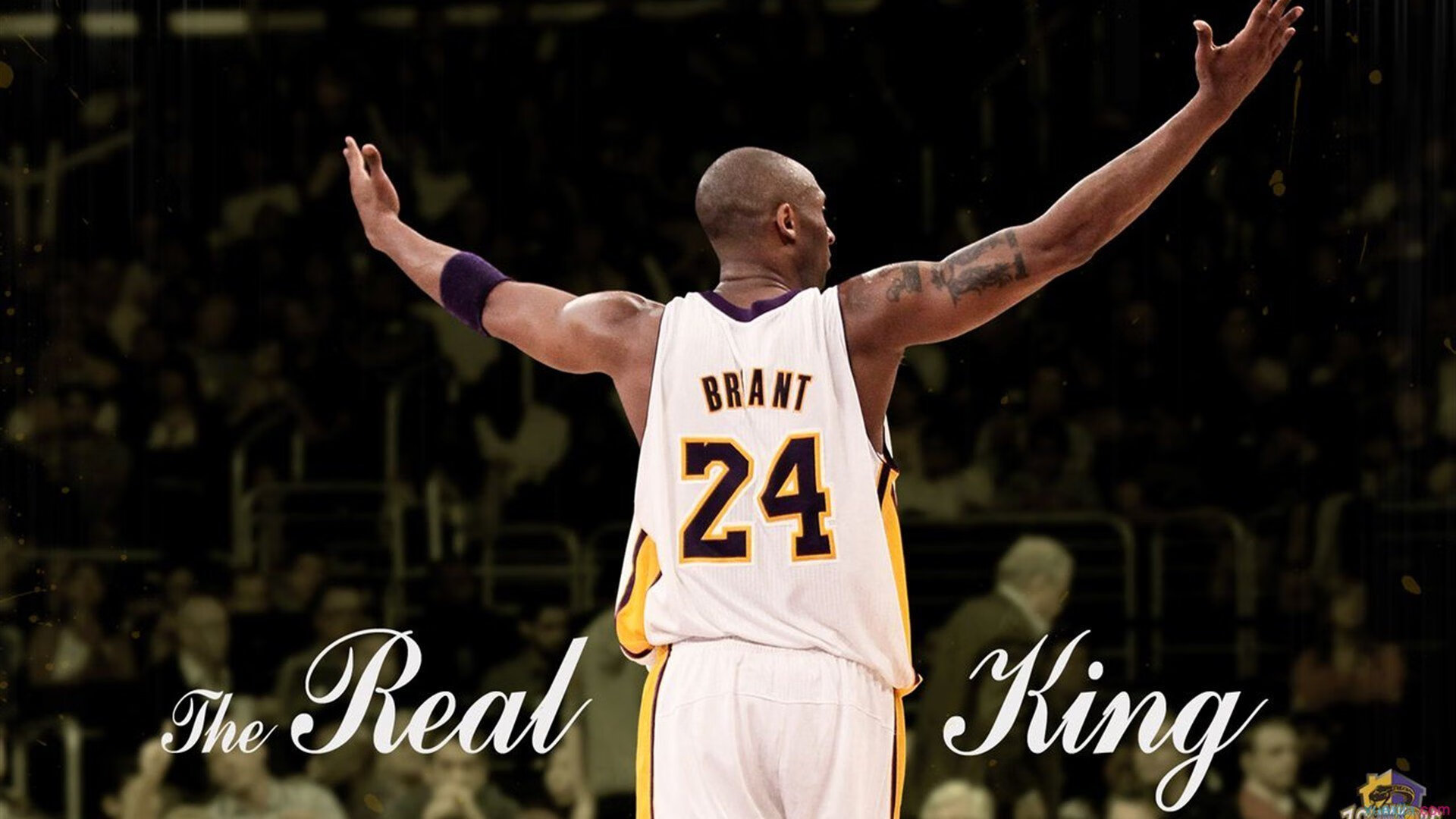 “胡利安·门德斯的领导能力和球技，推动阿根廷美洲狮队成为橄榄球强国”