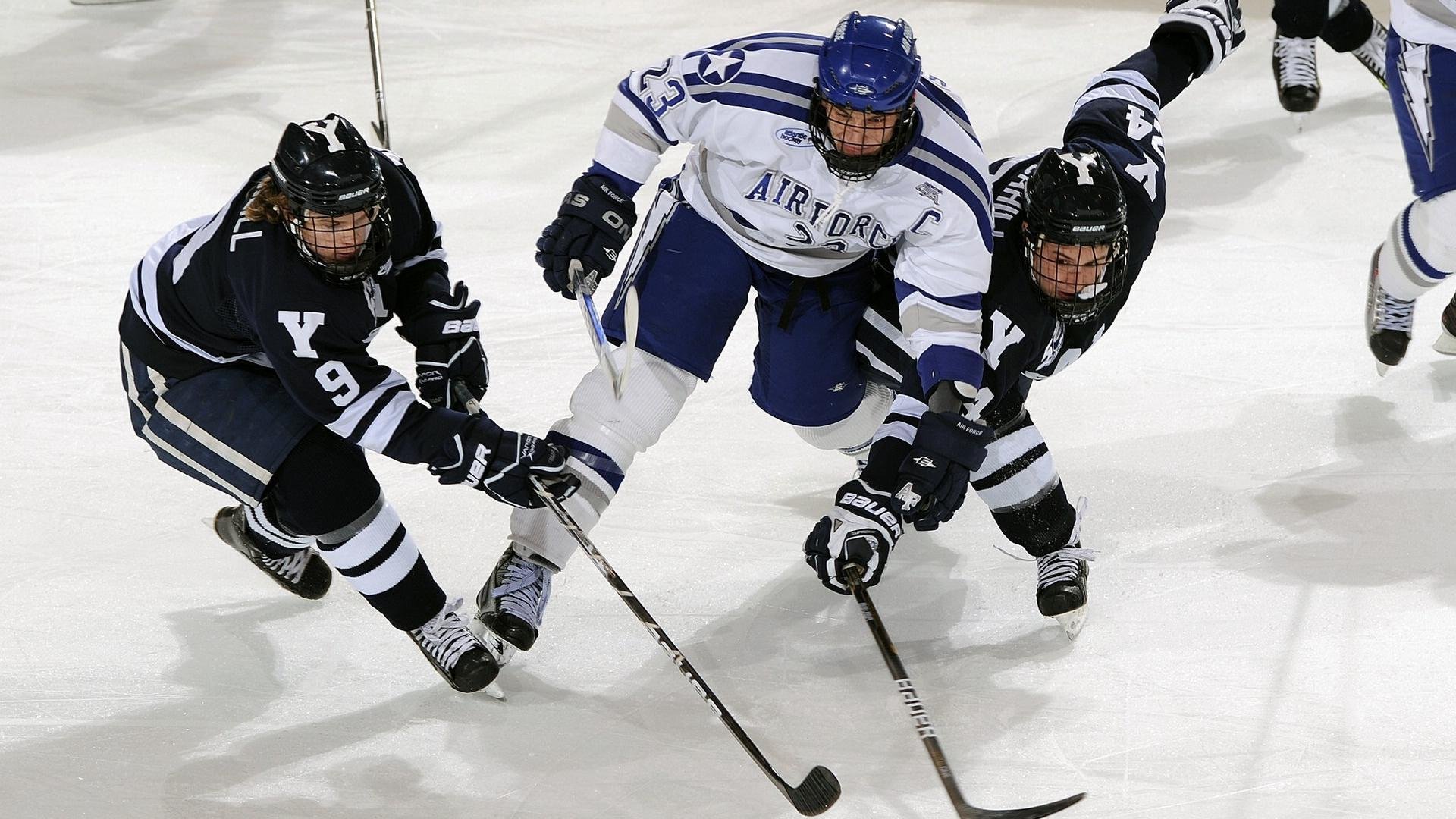 技术训练体系趋于规范化与专业化,简述技术训练的基本方法
