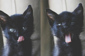 爱游戏体育平台-全国青少年“篮球启蒙月”活动在全国范围内持续火热，普及运动文化