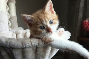 爱游戏登录入口-决战沙滩排球：阳光海岸的激情碰撞，沙滩排球冠军赛