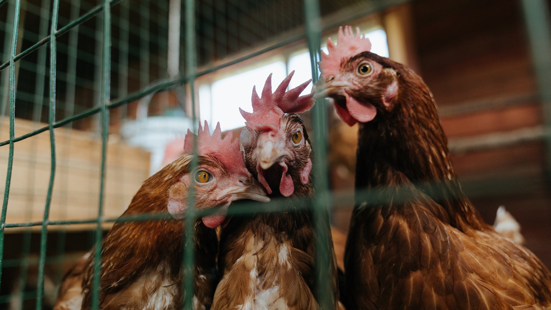 体育精神:比赛中最感人的瞬间与故事,体育比赛精神的名言警句